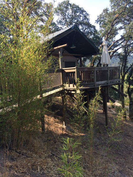 Safari West Cabin